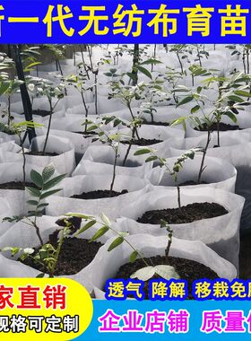 无纺布育苗袋营养袋可降解花盆种植袋加厚容器杯植树营养钵一次性