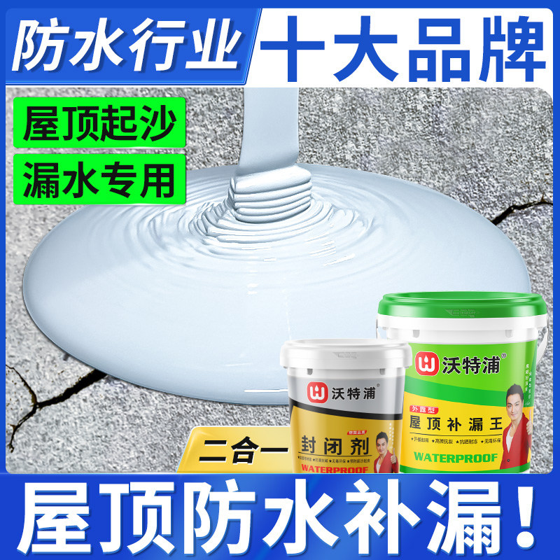防漏水补屋顶材料楼顶房顶起沙起灰起皮返潮返碱专用防水补漏涂料