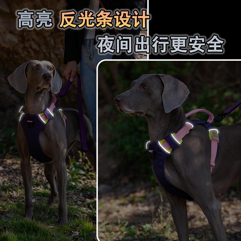 狗狗胸背防爆冲反光狗 牵引绳中型犬大型犬狗绳宠物大狗专用背带