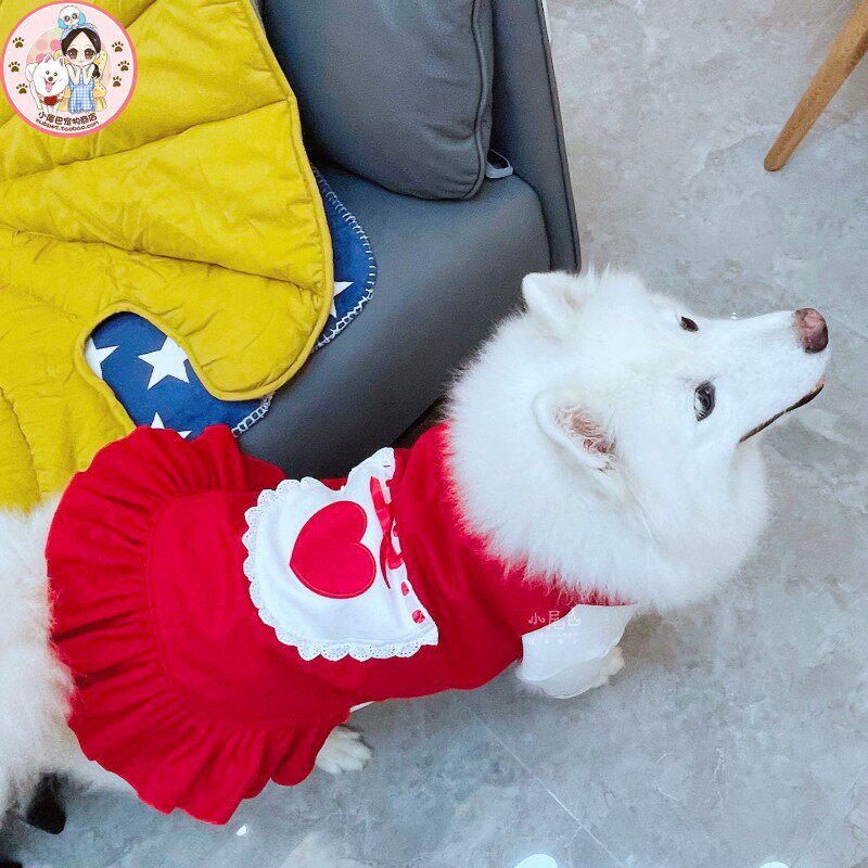 【小尾巴宠物】中大型犬大狗狗保暖两件套新年圣诞可爱娃娃裙衣服