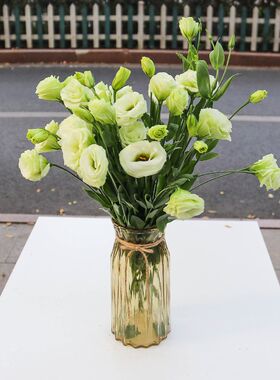 洋桔梗鲜花云南直发云南玫瑰花鲜花直批鲜花 花瓶插花