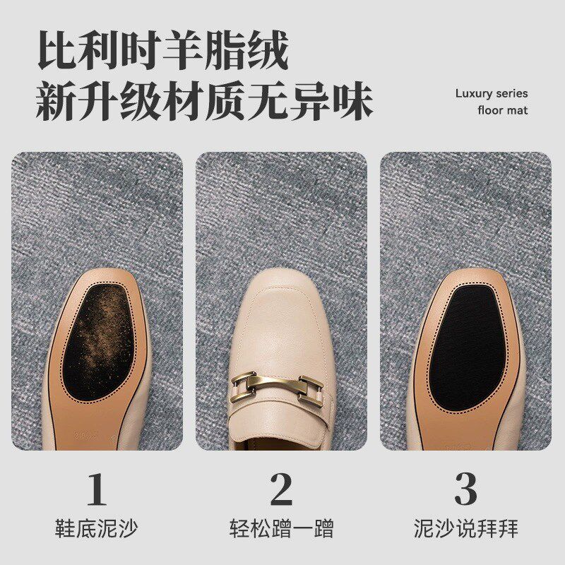 入户门地垫新款轻奢高级感防滑进门脚垫北欧风高端家用大门口地毯