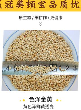 鸟食白糜子白黍子带壳大黄米1件5斤饲料中小型鹦鹉虎皮牡丹玄凤