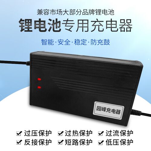 7串3.7v24三元聚合物锂离电池电动车充冲电器24V伏29.4V2AV5A10安