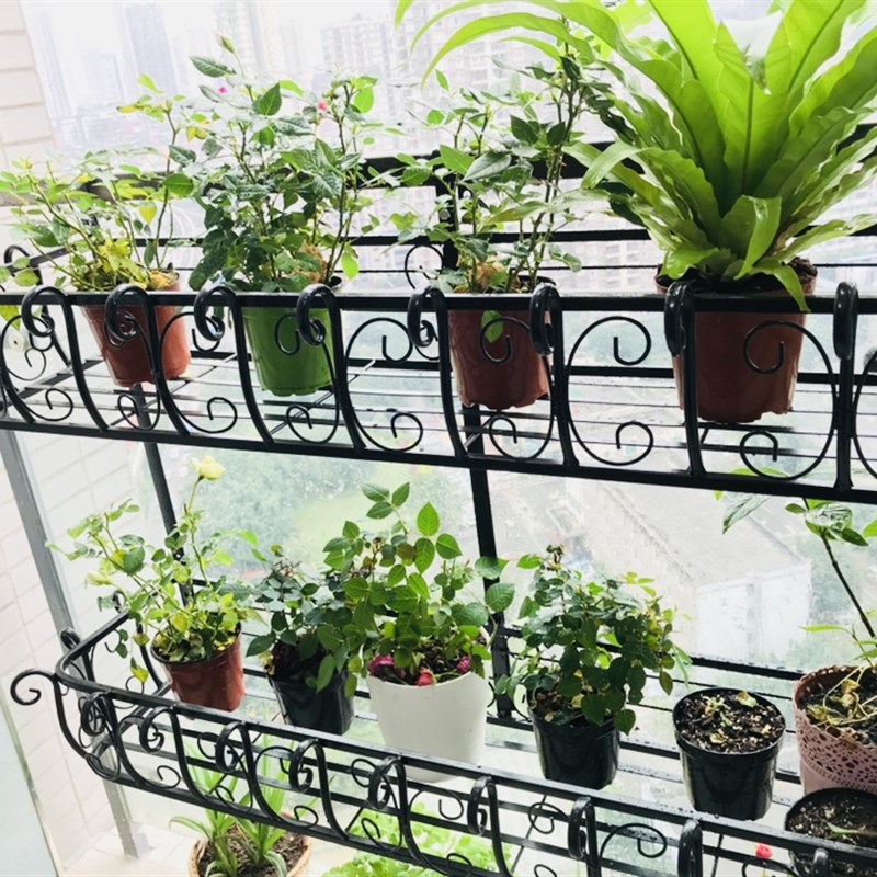 铁艺栏杆花架阳台多层家用墙壁挂式窗台悬挂绿萝多肉花盆架子