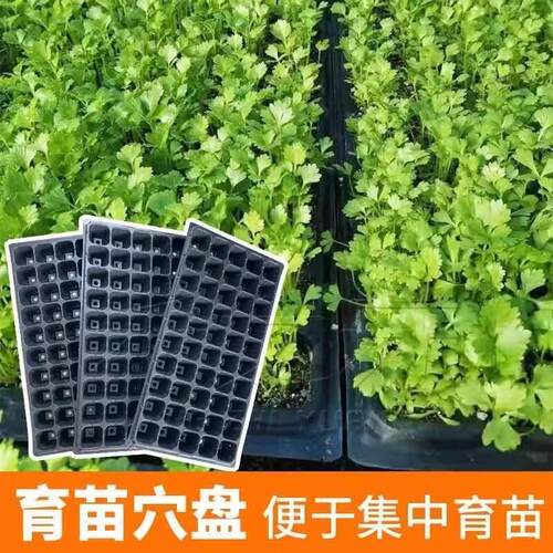 育苗盘穴盘塑料杯种植神器营养钵蔬菜多肉育种扦插盒农用托盘盆栽