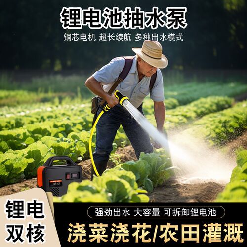 充电式抽水泵浇菜神器农用灌溉浇菜水泵锂电池大功率农用抽水机