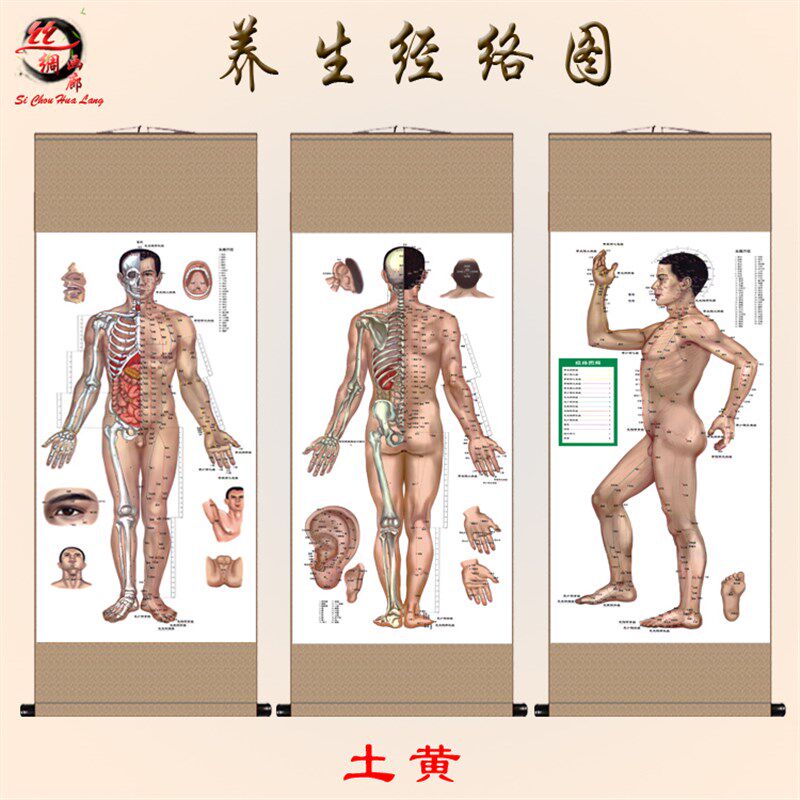 经络图解丝绸画人体穴位图挂画中医养生文化推拿针灸按摩店装饰画