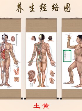 经络图解丝绸画人体穴位图挂画中医养生文化推拿针灸按摩店装饰画