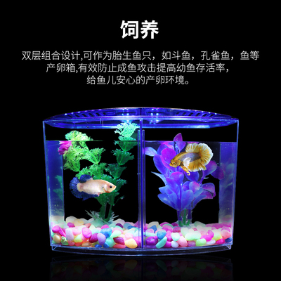 泰国斗鱼缸亚克力双格套装国斗桌面双缸鱼缸小型迷你塑料斗鱼盒小