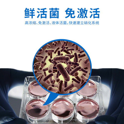 硝化细菌水产养殖活菌水产养殖除氨氮土塘鱼虾蟹池塘降亚硝酸盐