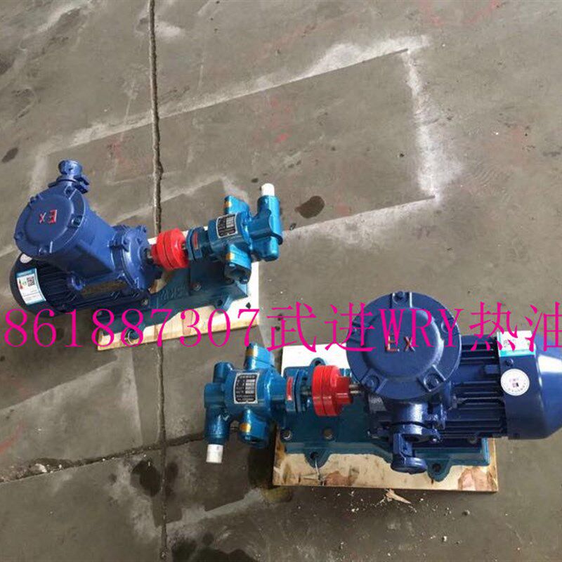 常州市武进热油泵厂齿轮泵注油泵1.5KW-2.2KW防爆齿轮泵铜芯电机