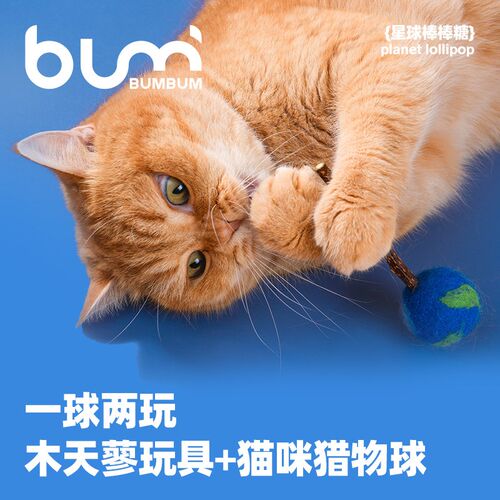 木天蓼猫玩具星球棒棒糖可替换棒磨牙洁齿逗猫棒耐咬自嗨猫咪玩具