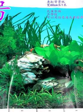 鱼缸挂画水族箱挂画水族高清造景纸装饰壁纸80cm60cm高45包邮