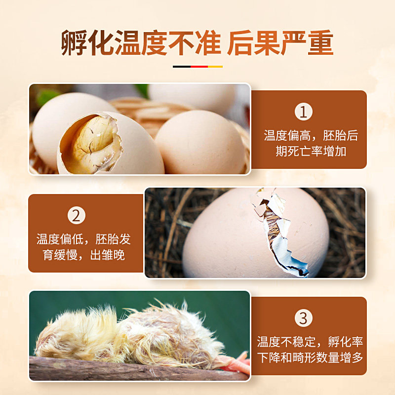 温控器孵化专用孵化机温度控制器水床孵化器智能全自动小鸡孵蛋