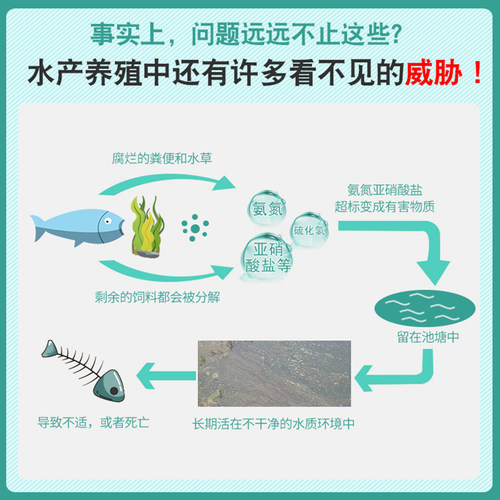 em菌水产养殖专用菌种复合益生菌浓缩粉虾蟹鱼塘肥水发酵原液鱼药