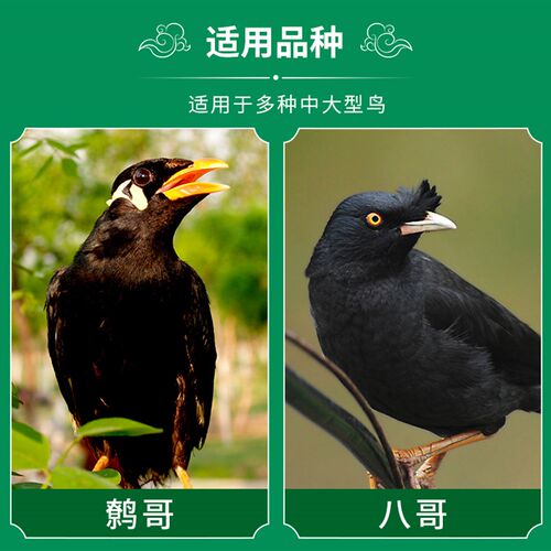 鹩哥鸟食八哥通用鸟食淘气宝贝包邮八哥鹩哥说话饲料八哥营养鸟粮