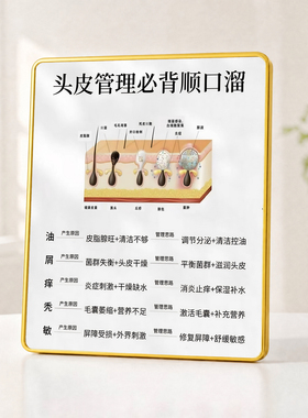 头皮养护科普美发美容院店用摆件