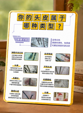 养发馆理发店头皮类型科普展示牌门店前台桌面装饰摆件