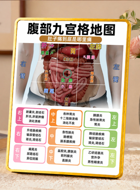 腹部九宫格地图摆台中医馆养生馆腹痛科普展示装饰摆件