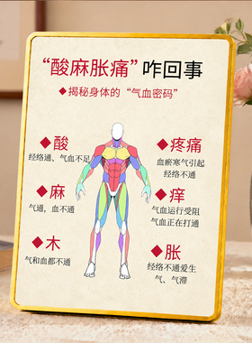 中医酸麻胀痛气血知识装饰摆件养生馆理疗馆桌面科普装饰摆台
