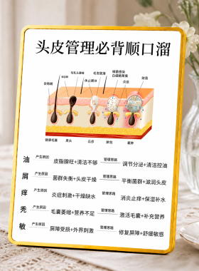 头皮管理必背顺口溜展示牌养发馆理发店门店装饰摆件