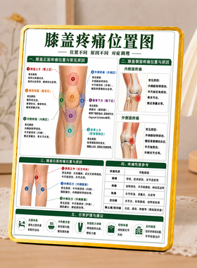 膝盖疼痛位置图科普摆件理疗馆养生馆居家关节科普装饰摆台