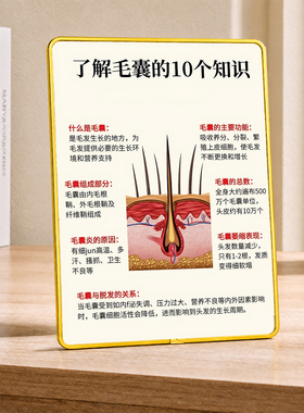 毛囊养护科普店用展示摆件