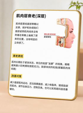 美容院皮肤衰老知识科普装饰摆件医美机构前台桌面展示摆台