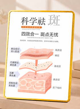科学祛斑科普装饰摆件美容院皮肤管理门店前台桌面摆台