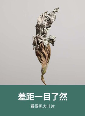 艾可舒干艾草泡脚包家用洗澡驱湿气养颜助睡眠备孕产后坐月子纯叶