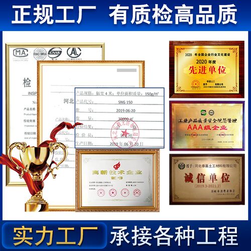 复合土工膜两布一膜鱼池防水膜土工布养殖膜蓄水池河道鱼塘防渗膜
