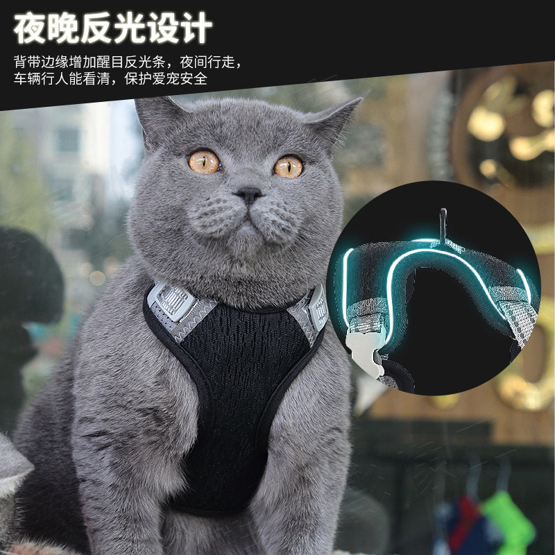 猫牵引绳背心式防挣脱可调节遛猫绳子中型红色外出英短带猫咪大型