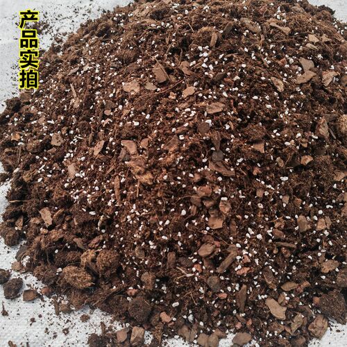 蕨类植物专用土铁线蕨鳞毛蕨狗脊蕨波斯顿蕨通用营养土盆栽种植土