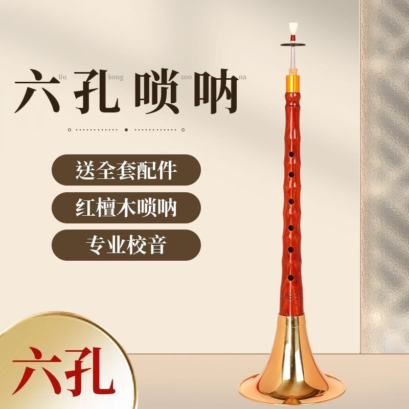 红檀木六孔唢呐6孔初学者乐器笛子唢呐喇叭全套专业降B调D调演奏