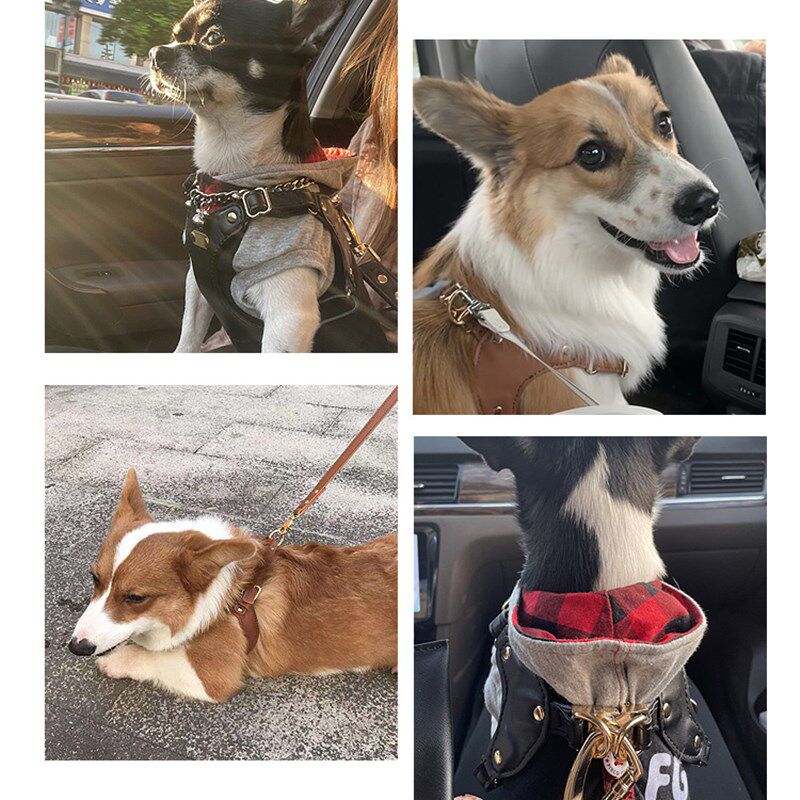 狗狗牵引绳胸背带中小型犬皮革背心式可调节遛狗绳子柯基银狐宠物