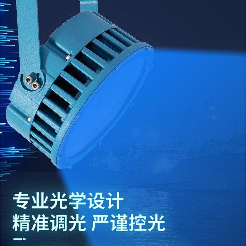 LED集鱼灯诱鱼灯聚鱼灯船钓海钓筏钓灯户外防水船用大功率220V灯
