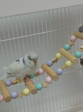 星星云梯子鸟笼梯子鹦鹉啃咬玩具用品玄凤牡丹鸟爬梯秋千啃咬攀爬