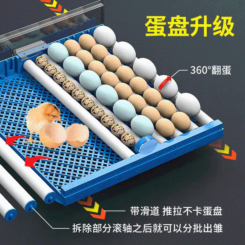 孵蛋器小型家用孵化器芦丁鸡孵化机全自动智能孵小鸡的机器孵化箱