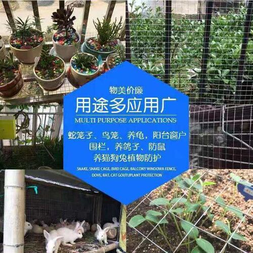 镀锌钢丝网围栏防鸟防鼠加厚铁丝网养殖围栏养R鸡兔笼阳台防护铁