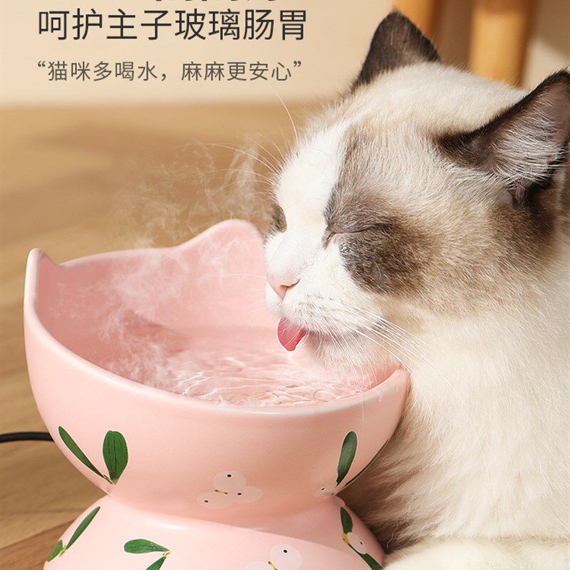猫咪恒温饮水机宠物加热冬天喝水保温狗狗喝水器自动猫用温水猫碗