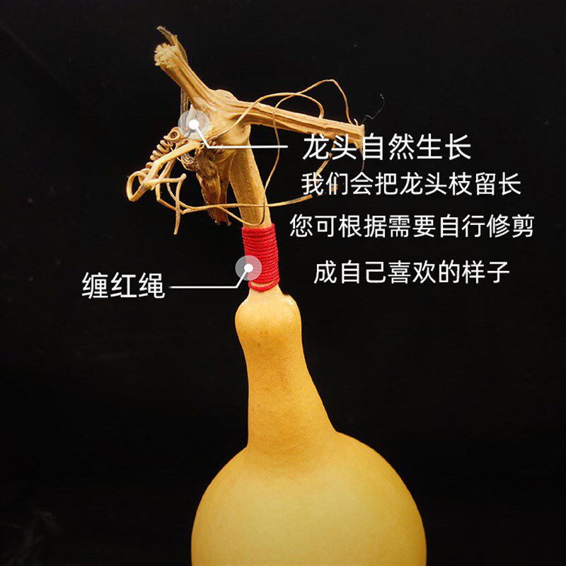 天然小葫芦挂件特大号不开口葫芦摆件卧室尖角壁刀家居客厅装饰品