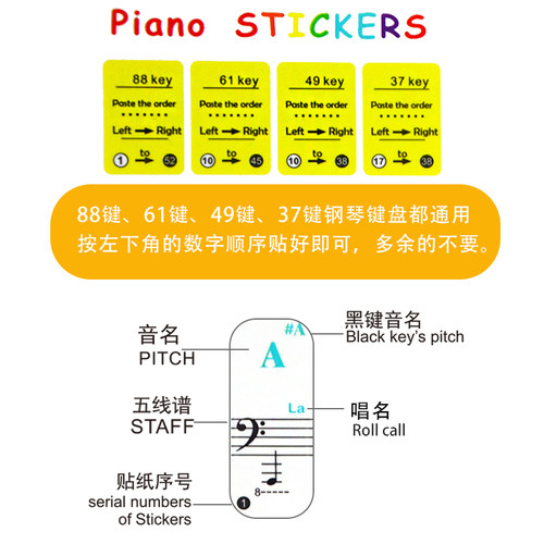 彩色钢琴键盘贴纸 五线谱自学辅助配件 电子琴手风琴透明贴膜