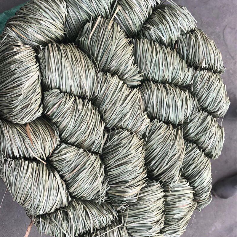 包邮螃蟹香草扎蟹绳捆绑大闸蟹越南香草绳子螃蟹绳子包粽子扎粽子