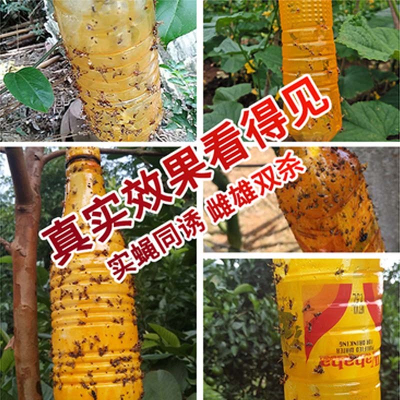 好尔德瓜果实蝇诱粘剂物理诱粘胶板果园菜地针蜂引诱剂果蝇诱捕器图片