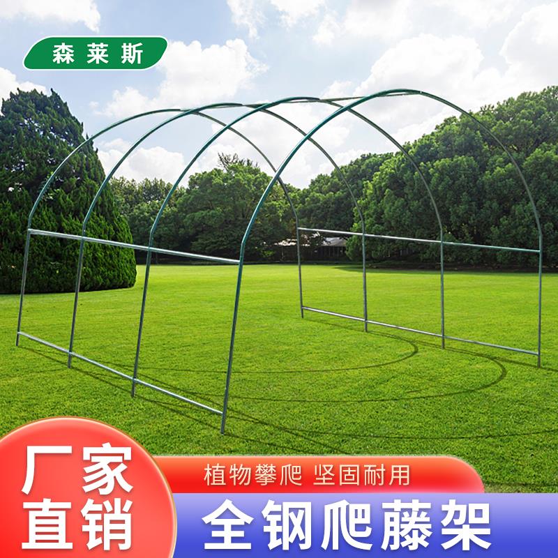 植物爬藤架暖房钢管花架葡萄架大棚骨架百香果支架庭院园艺攀爬架