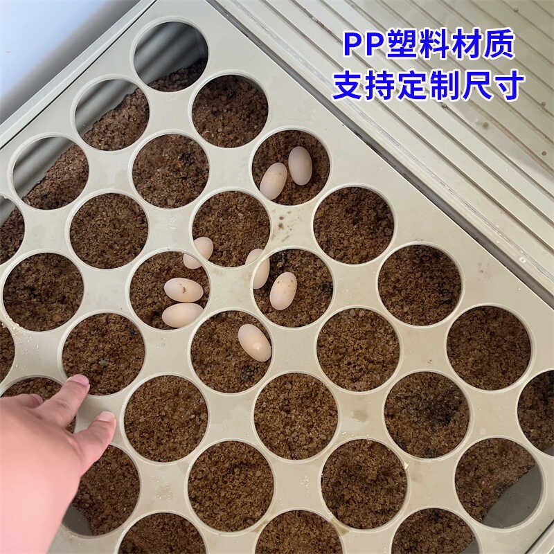 乌龟下蛋活动网产蛋繁殖手工PP塑料沙池移动板