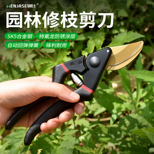 省力修枝剪刀剪树枝专用剪子园艺修剪果树修枝家用花艺修花枝剪