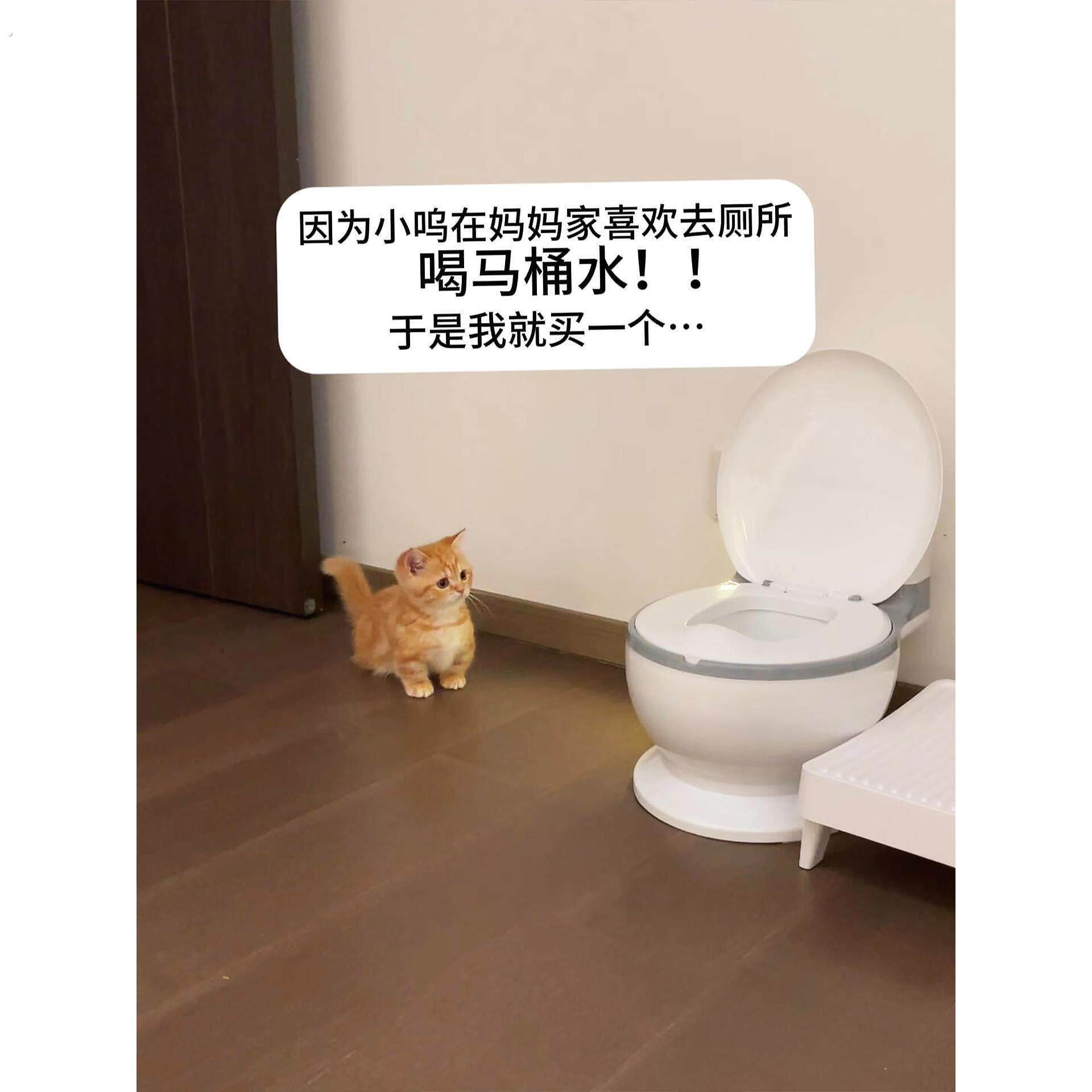 猫咪马桶水碗坐便器饮水机创意宠物骗水神器防打翻大容量大口径