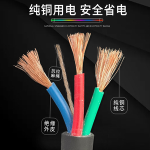纯铜户外防冻牛筋线电缆线3芯电线1.5 2.5 4平方护套软线插头带线